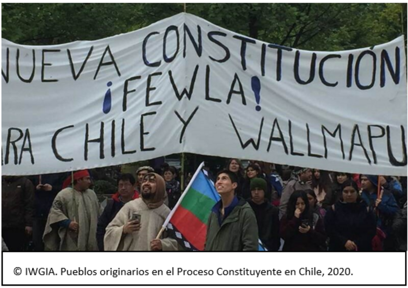 © IWGIA. Pueblos originarios en el Proceso Constituyente en Chile, 2020.